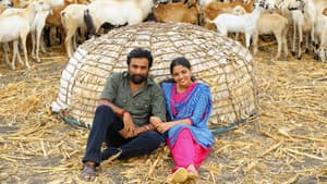கிடாரி — foto 2