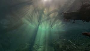 Un fleuve invisible — foto 1