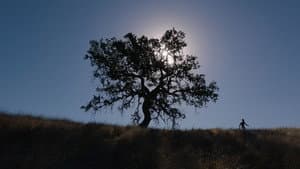 Rite of Passage — foto 1