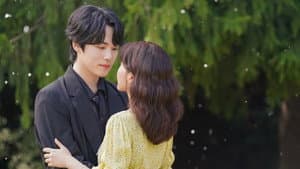 꼭두의 계절 — foto 6