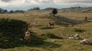 Il buco — foto 8