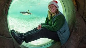 London Zoo at Christmas — foto 1