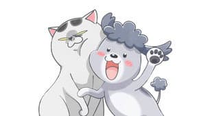 犬と猫どっちも飼ってると毎日たのしい — foto 4