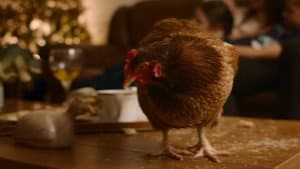Feather Christmas — foto 4