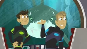 Aventuras con los Kratt — foto 3