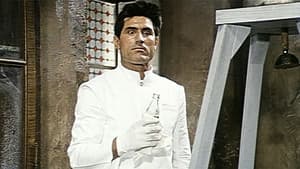 Il domestico — foto 1