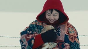 Kumiko, the Treasure Hunter — foto 7