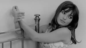 Trans-Europ-Express — foto 9