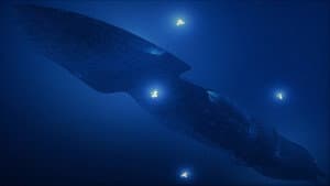 seaQuest DSV — foto 5