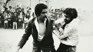 خاک — foto 1