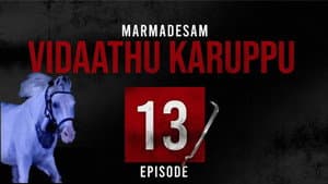 Episodio 13