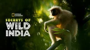 Secrets of Wild India — foto 3