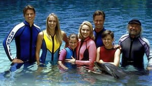 Flipper — foto 10