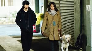 見えない目撃者 — foto 1