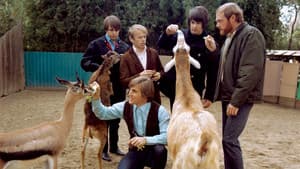 The Beach Boys: Making Pet Sounds — foto 1