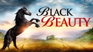 Black Beauty — foto 2