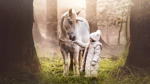 Tale of the Forest Unicorn — foto 1
