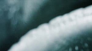 An Architecture of Desire — foto 2