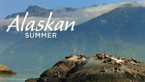Alaskan Summer — foto 1