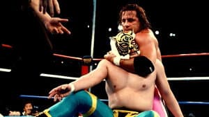 WWF/AJPW/NJPW Wrestling Summit — foto 2