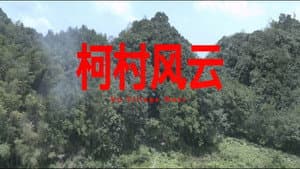 柯村风云 — foto 1