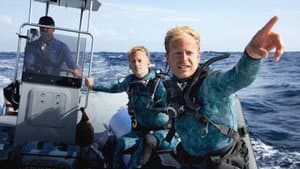 Delfines en primer plano con Bertie Gregory — foto 1