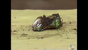 Episodio 2