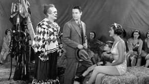 The Circus Clown — foto 1