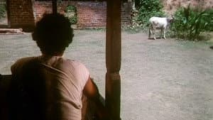 എലിപ്പത്തായം — foto 4