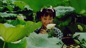 八仙的传说 — foto 6
