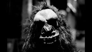 Noite do Australopithecus — foto 4