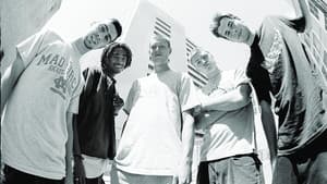 Mad Circle - 5ive Flavors — foto 2