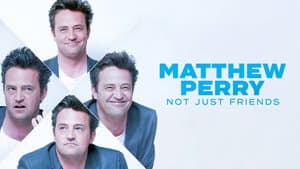 Matthew Perry: Not Just Friends — foto 1