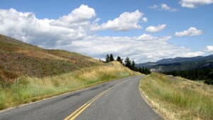 American Bear: An Adventure in the Kindness of Strangers — foto 1
