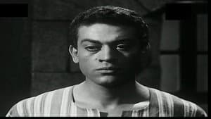 اللص والكلاب — foto 11