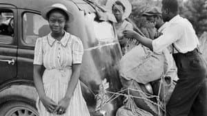 Driving While Black: Race, Space and Mobility in America — foto 5