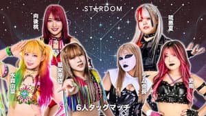 第15回 ゴッデス・オブ・スターダム ～タッグリーグ戦～ in TAKASAKI — foto 5