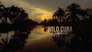 Wild Cuba: A Caribbean Journey — foto 1