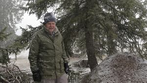 Attenborough and the Empire of the Ants — foto 8