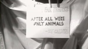 After All — foto 1