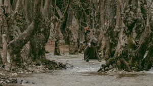 Kanto — foto 2