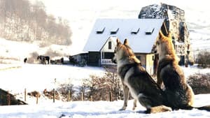 Nejasná zpráva o konci světa — foto 1