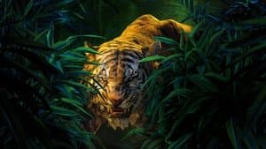 El Libro de la Selva — foto 5