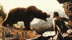 El oso — foto 2