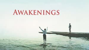Despertares — foto 3