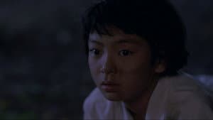 お引越し — foto 2