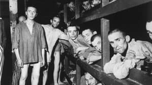 Vooral niet opvallen - Nederlanders in Buchenwald — foto 1