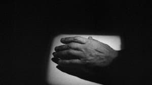 Una sombra oscilante — foto 4