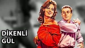 Dikenli Gül — foto 5