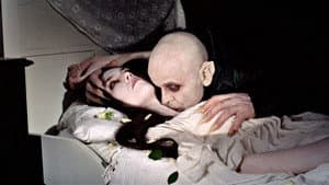 Nosferatu, el vampiro — foto 3